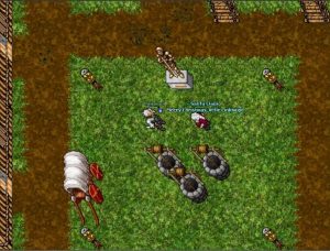 Santa Claus on Tibia